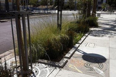 Green Infrastructure Sprouting Up