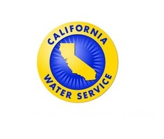 Cal Water Partners with Badger Meter to Help Conserve Water in Drought-ridden California