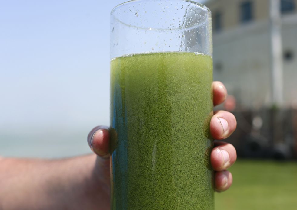 University of Toledo gets new technology to dissect algae bloom toxins