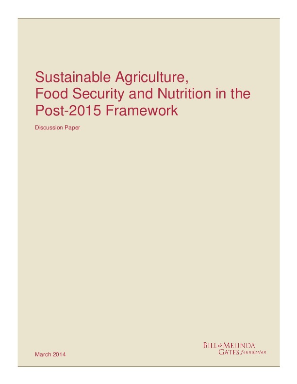 Post 2015 Food Security Discussion Paper 