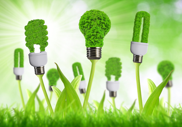 Making a Net Zero Carbon Economy
