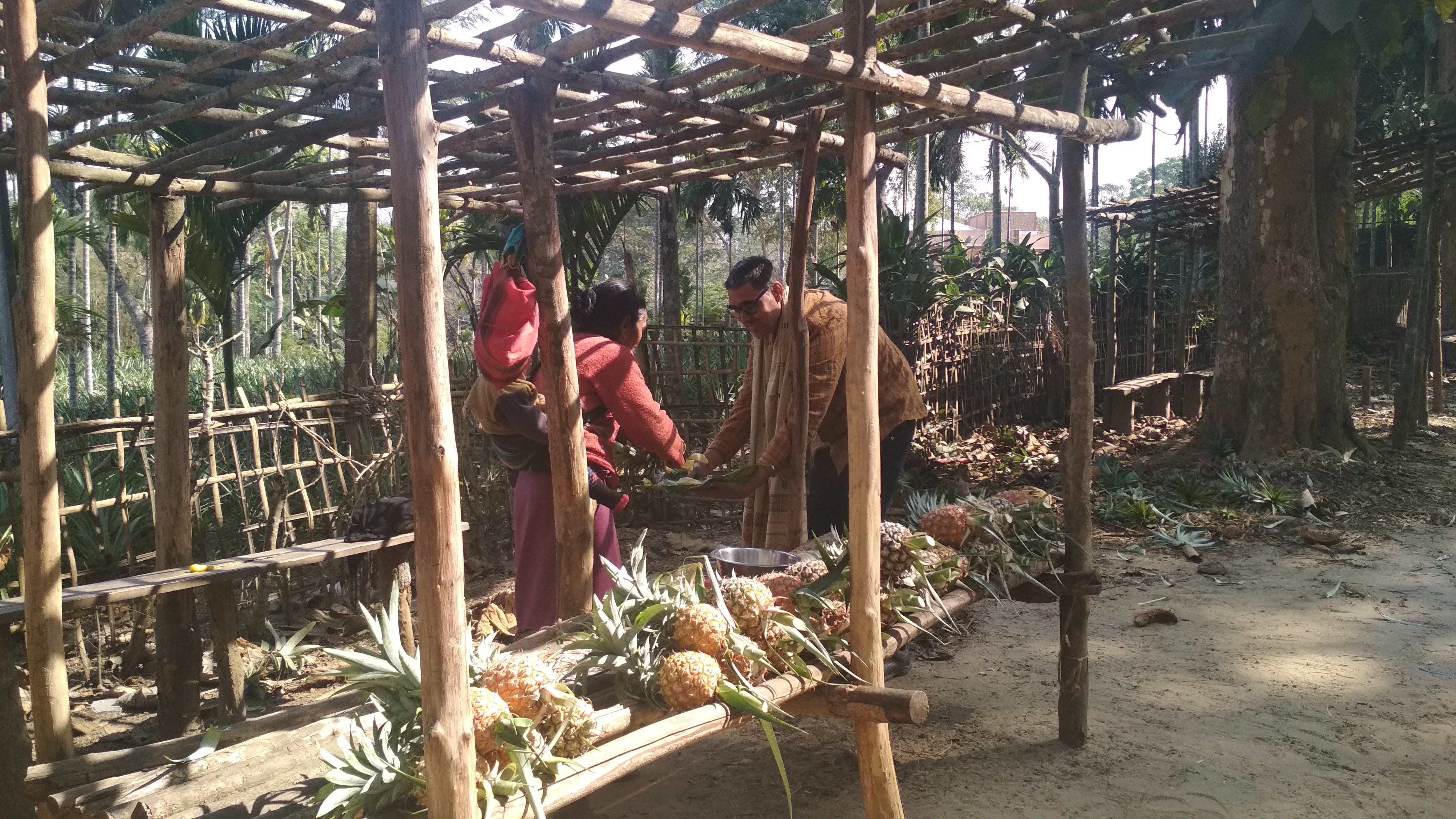 This popular belief of the Darlongs, a sub tribe of Mizos, residing in Nalkata area of Kumarghat Block of North Tripura district, 140 km off Aga...