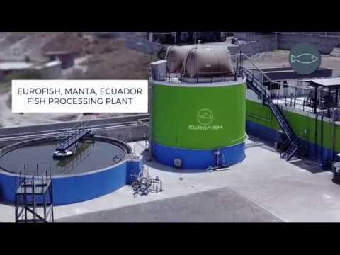 Fluence Waste to Energy Solutions