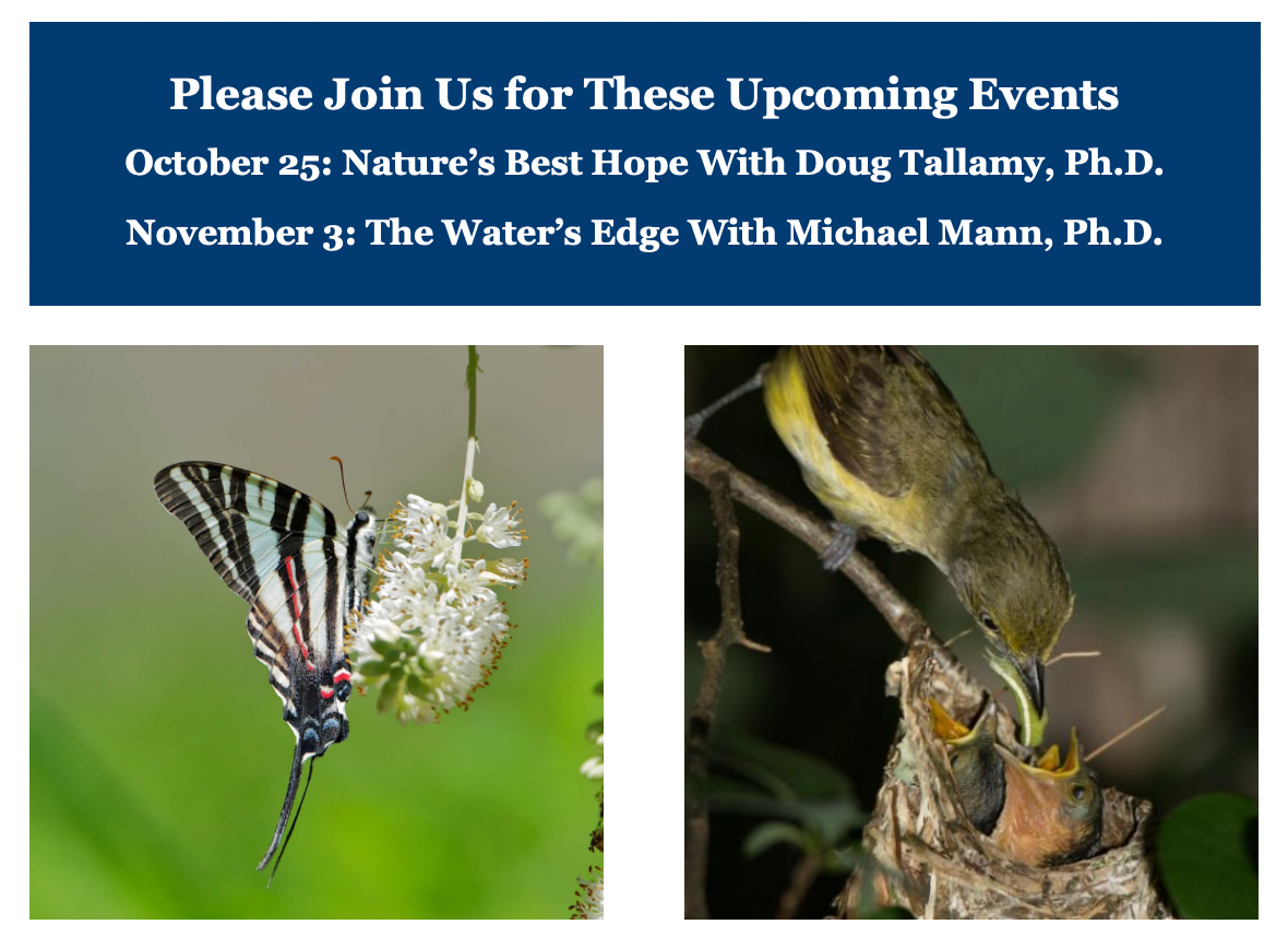 Please Join Us for This Upcoming Event October 25: Nature’s Best Hope With Doug Tallamy, Ph.D.