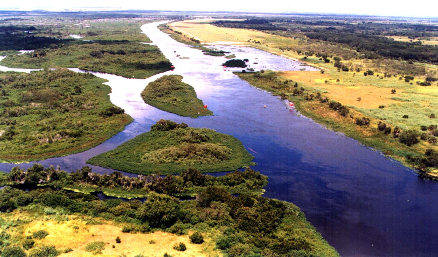 Kissimmee River Recurved