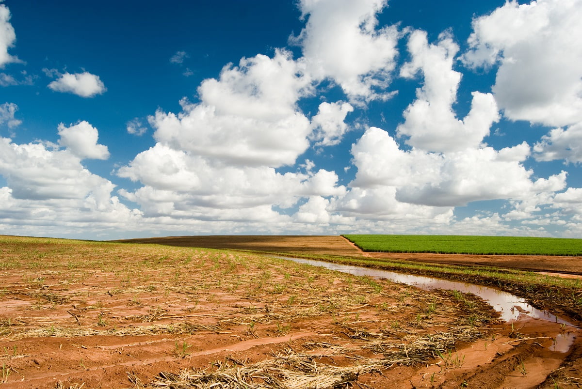 6 Israeli Companies Helping The World Combat Desertification and DroughtSeveral Israeli companies are employing innovative strategies to tackle ...