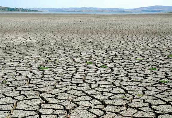 Historic Droughts Recorded in Four Different Continents