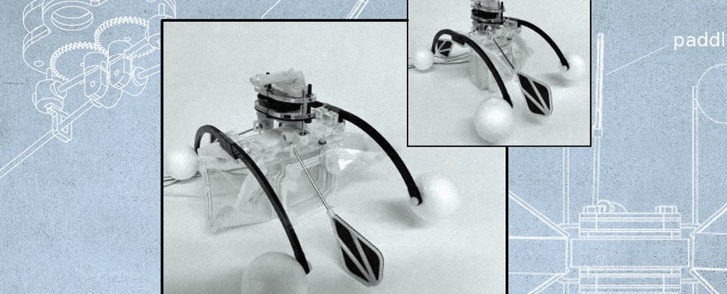 New Robot Eats Water Pollution