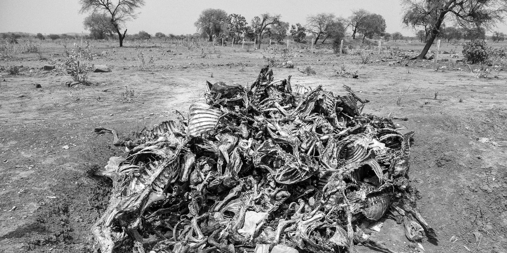 This Is What India's Devastating Drought Looks Like Up Close