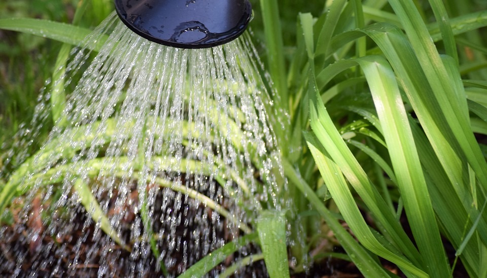 How to Choose the Proper Irrigation Method?