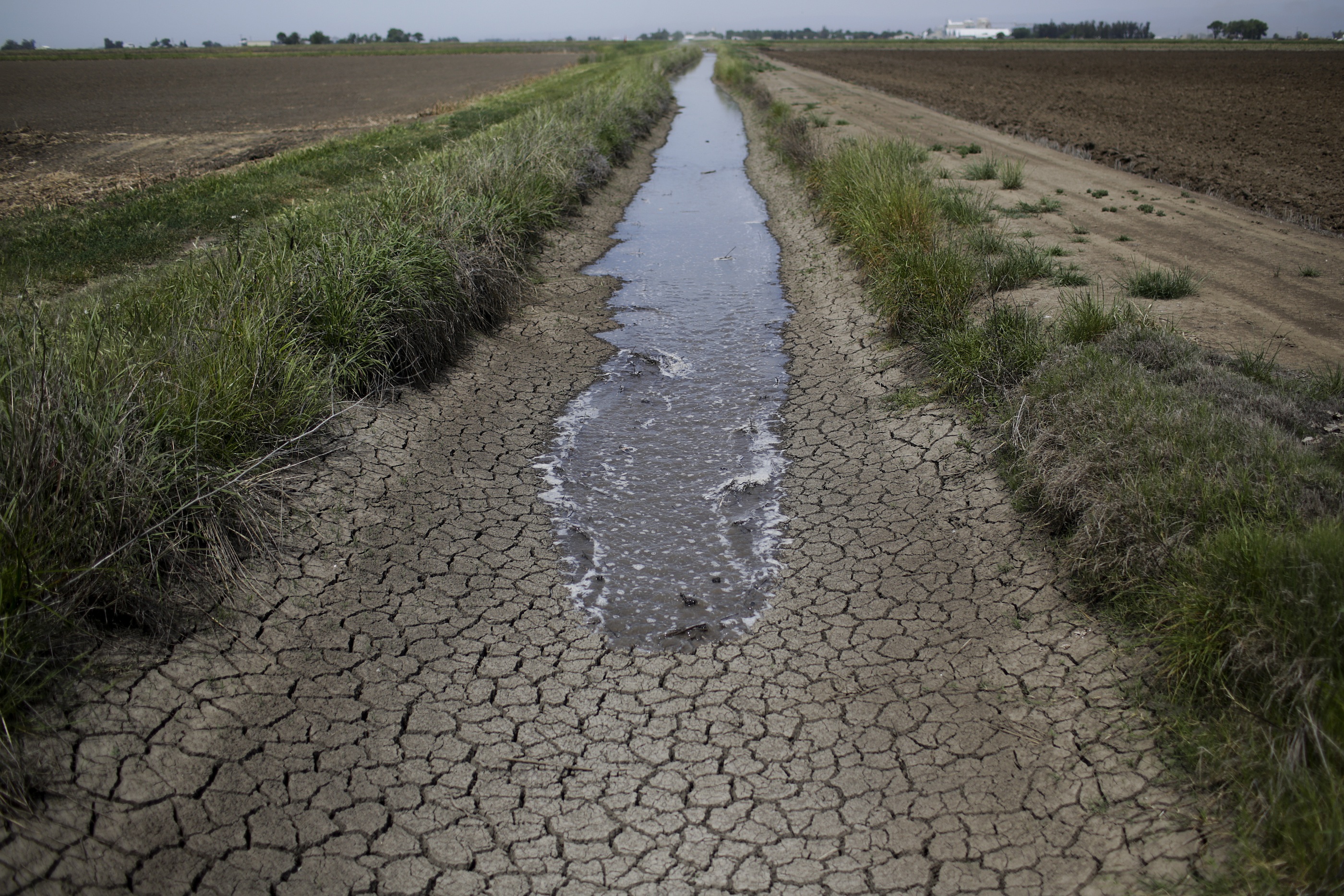 Californians Reduce Water Use by 29 Percent in May