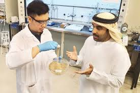 Khalifa University develops technology for ‘artificial soil’ suitable for agriculture in UAE