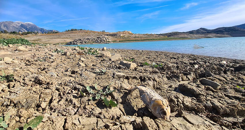 Lack of water governance aggravates drought in Spain • Water News Europe