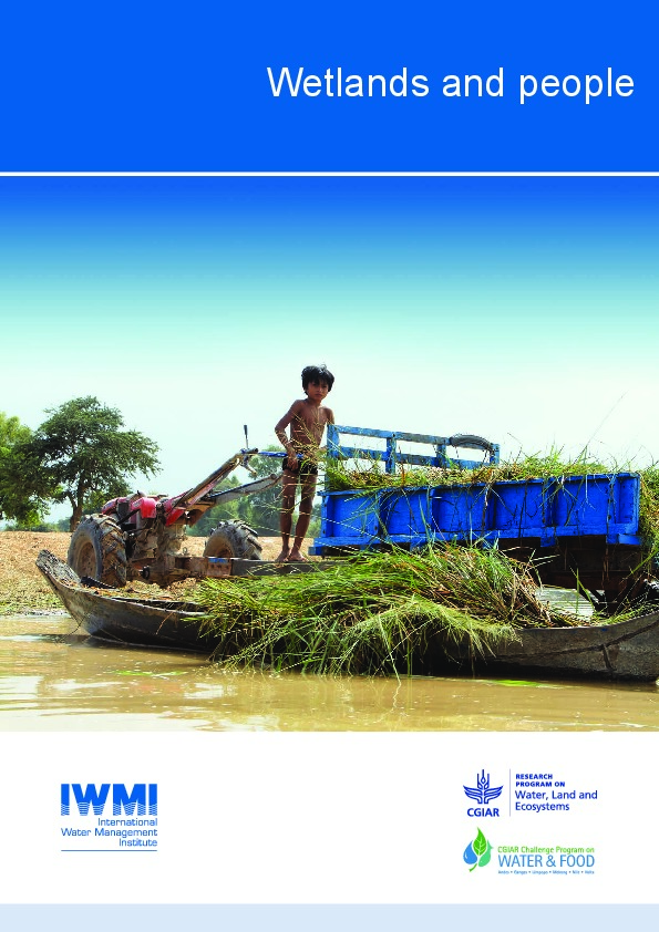 IWMI Wetlands and People Policy Report 2014