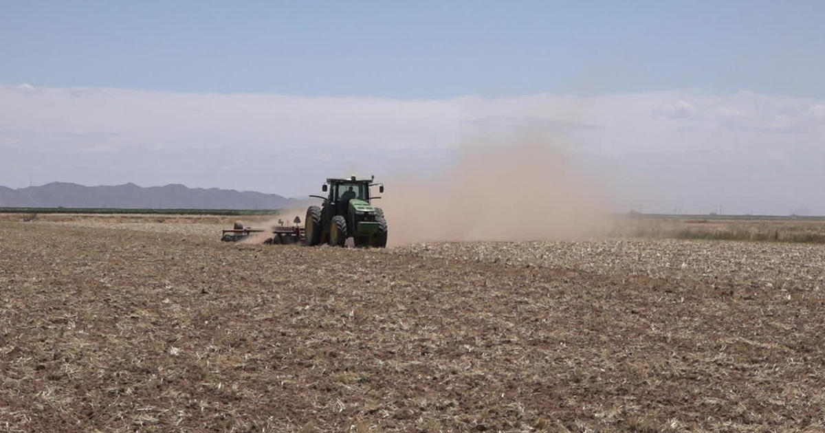 What the megadrought means to the American West