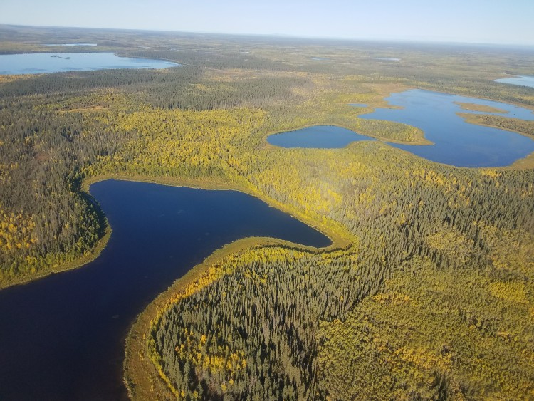Many Arctic Lakes Give Off Less Carbon Than Expected