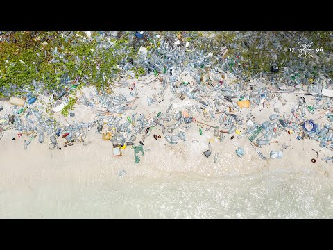 How to rethink our toxic relationship with plastic ?