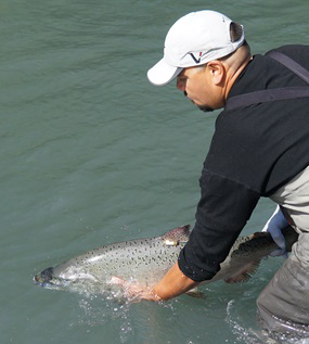 Salmon Return to Washington&#039;s Upper Elwha River After 102 Years http://www.fieldandstream.com/blogs/field-notes/salmon-return-to-washingtons-upp...