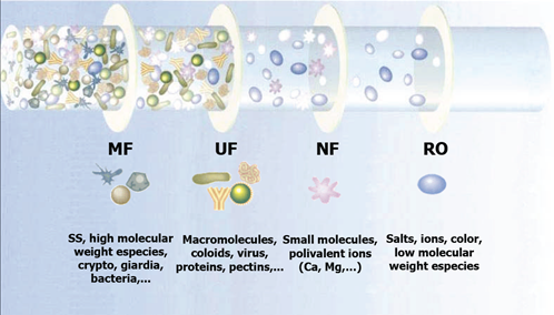 UF Purification vs. Microfiltration - Which Process to Choose for Your Application?