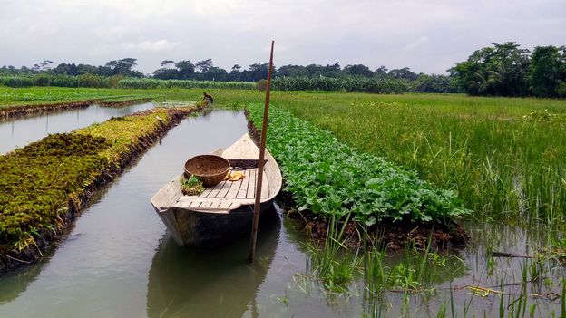 The remarkable floating gardens of Bangladesh