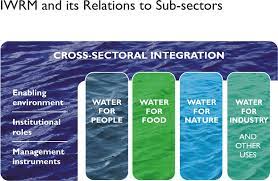 Integrated water resource management: Where are the critics going wrong?NILANJAN GHOSHCritics of IWRM need to note that as a paradigm, it only m...