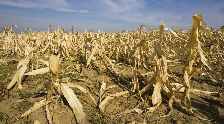 Dried up: Poverty in America's drought lands 