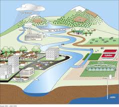 Water Pollution - Study Lesson 4