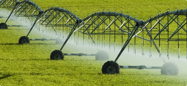 New Cloud-based Irrigation Auditing Software