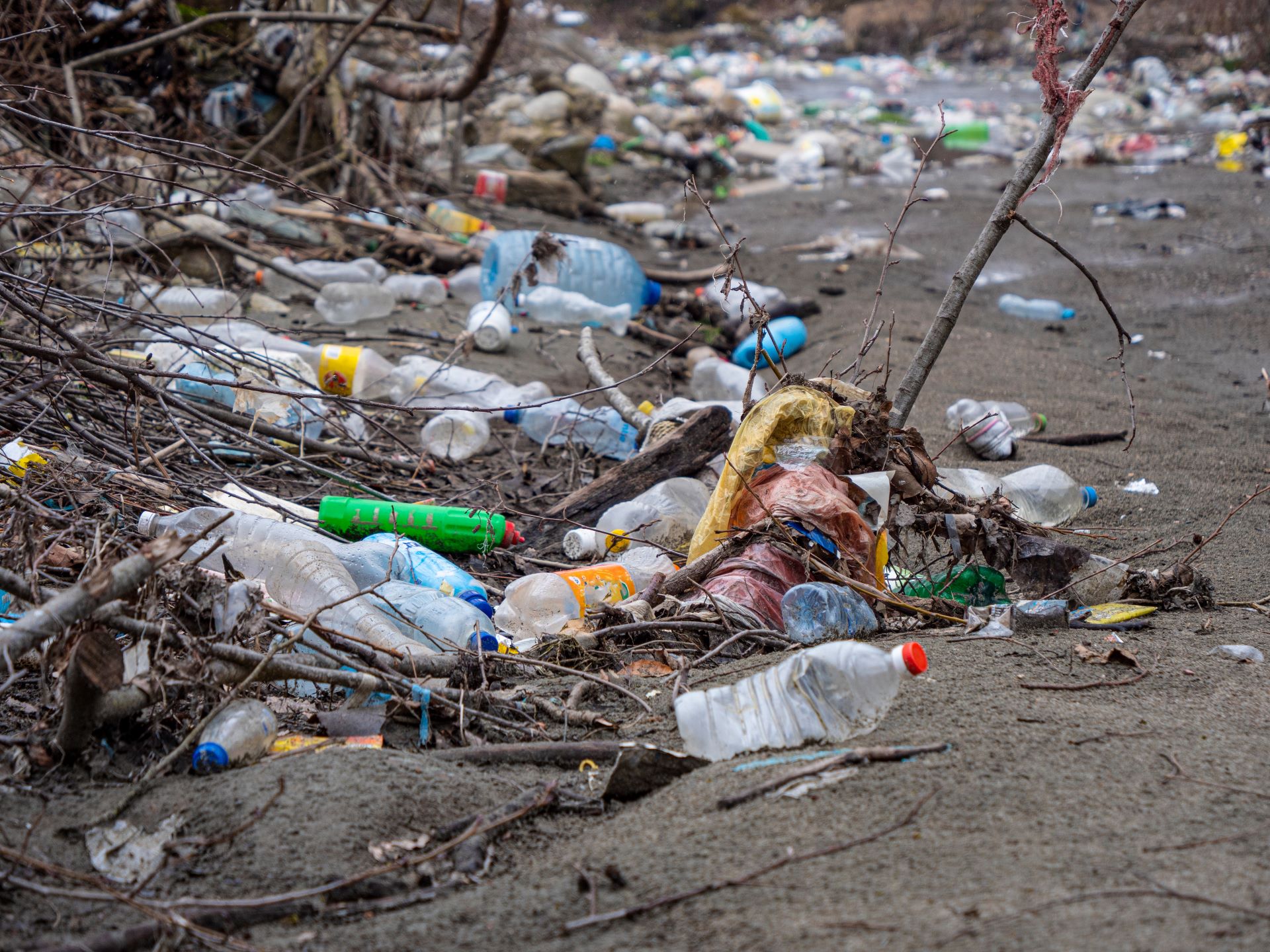 New study reveals deeply upsetting truth about plastic trash: 'The findings are disturbing'