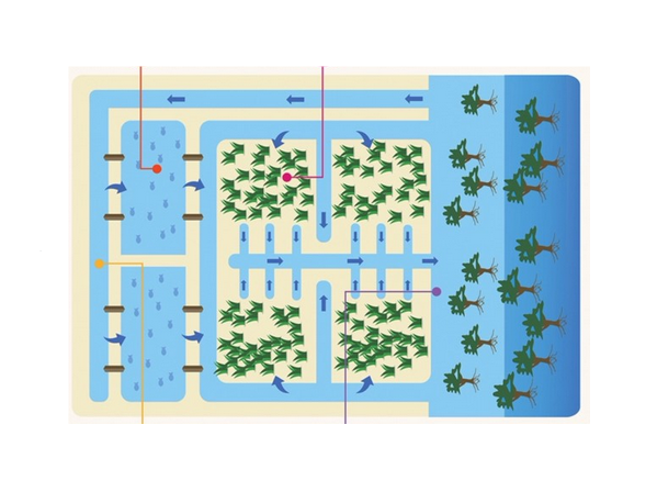 Integrated Seawater Energy and Ag project