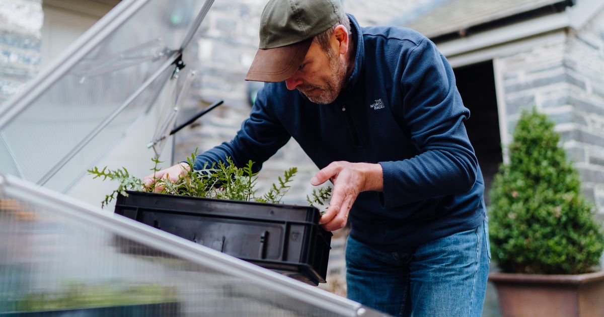 Green tech firm creates &#039;smart greenhouses&#039;