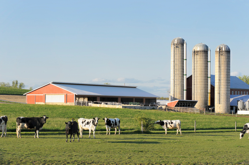 U.K. Dairy Industry Cuts Water Consumption