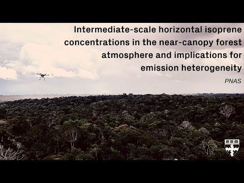 Drones Provide a Precise Chemical Fingerprint of the Amazon (Video)