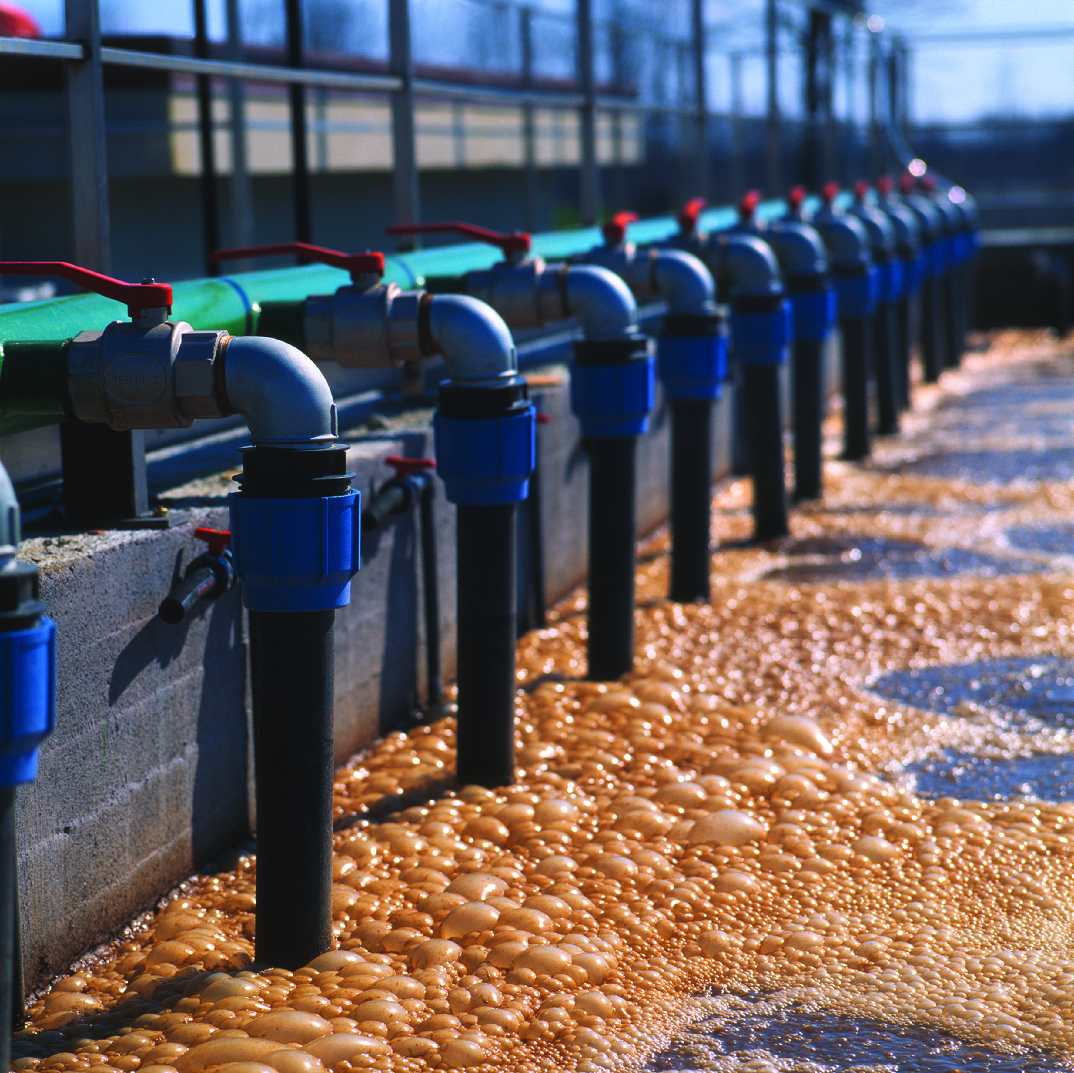 Poo power no longer just a pipe dream