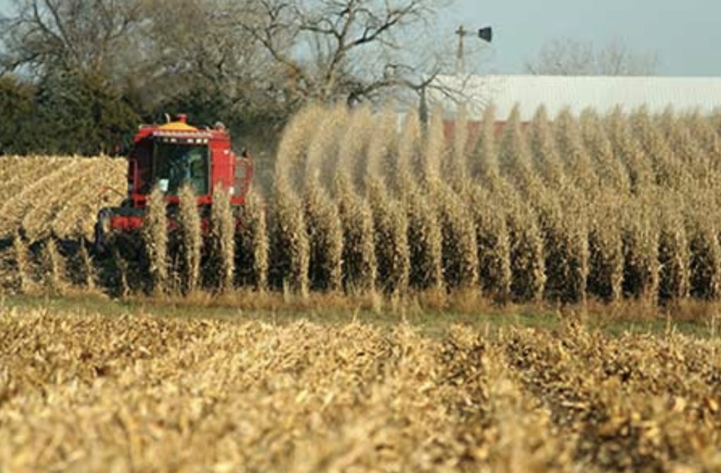 Reducing Beef Supply Chain Water Use with Smart Weather Tech