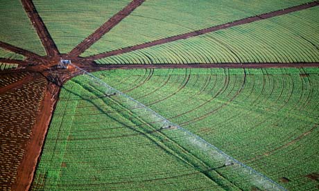 IRRI, Jain Irrigation sign MoU on water efficient irrigation