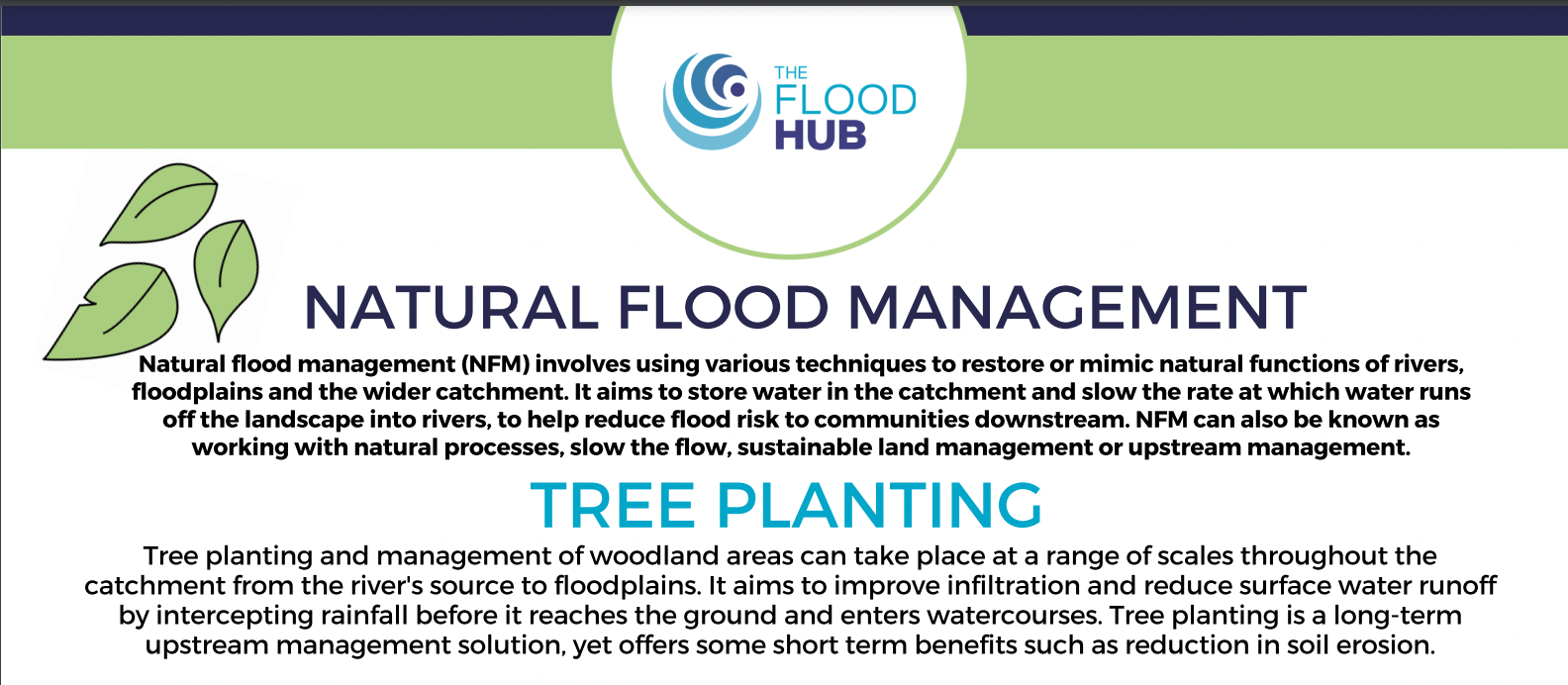 Natural Flood management