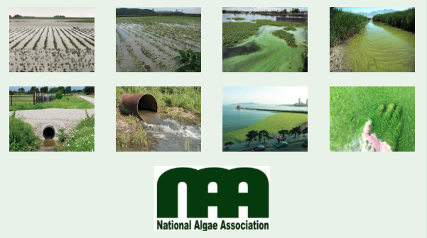On-Farm Nutrient Capture, Recyclingand Repurposing Pilot TestsThe National Algae Association is looking at the future of agricultural innovation...