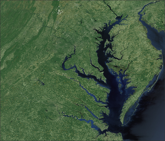 Turning the Tide on the Chesapeake Bay