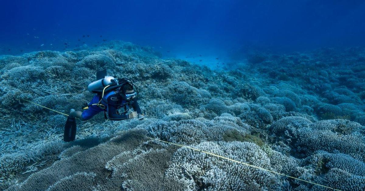 United Nations adopts high seas treaty, the first-ever pact to govern and protect international watersUN link: https://news.un.org/en/story/2023...