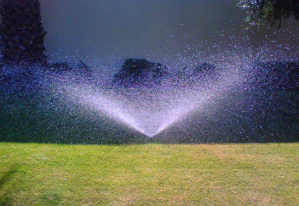 San Francisco: Emergency Irrigation Restrictions