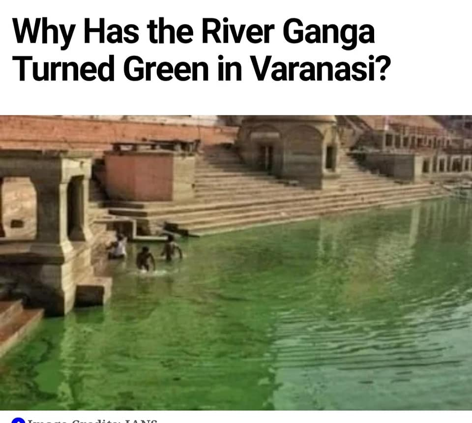 OASE Professional CyanoClear eliminate Algal bloom from Ganga water in Varanasi