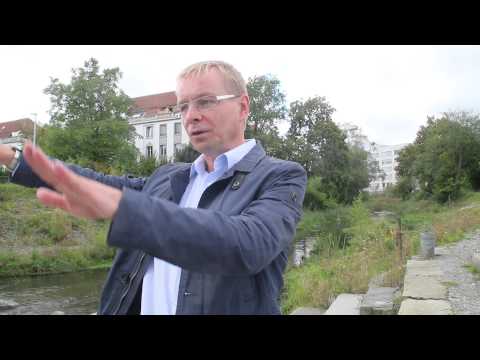 Interview of Prof. Dr. Mario Schirmer, Eawag, Switzerland on river restoration