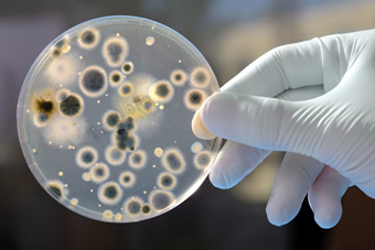 New Method for Discovering Bacteria on Beaches