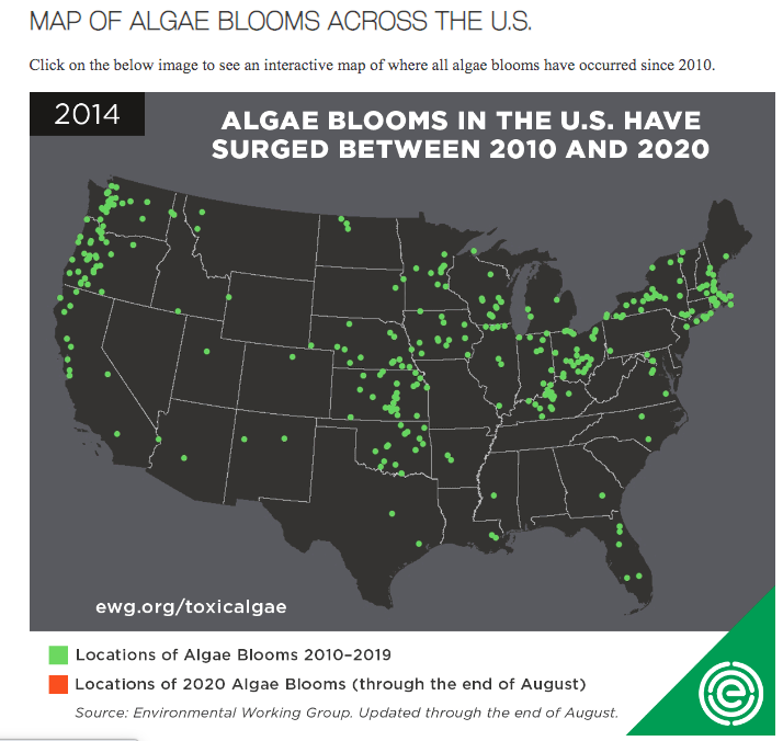 US Algae Blooms, 2010 to Present