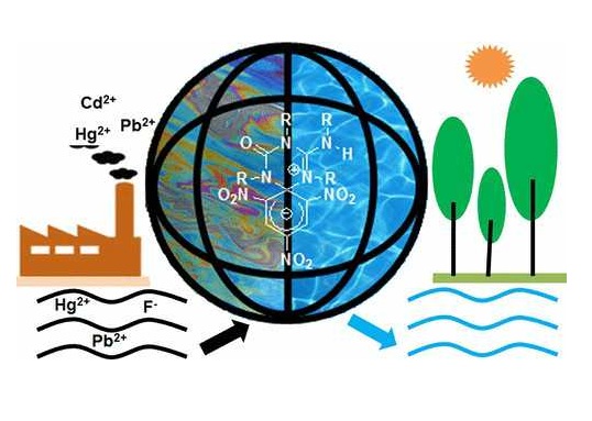 Mopping up the Oil, Metal, and Fluoride Ions from Water