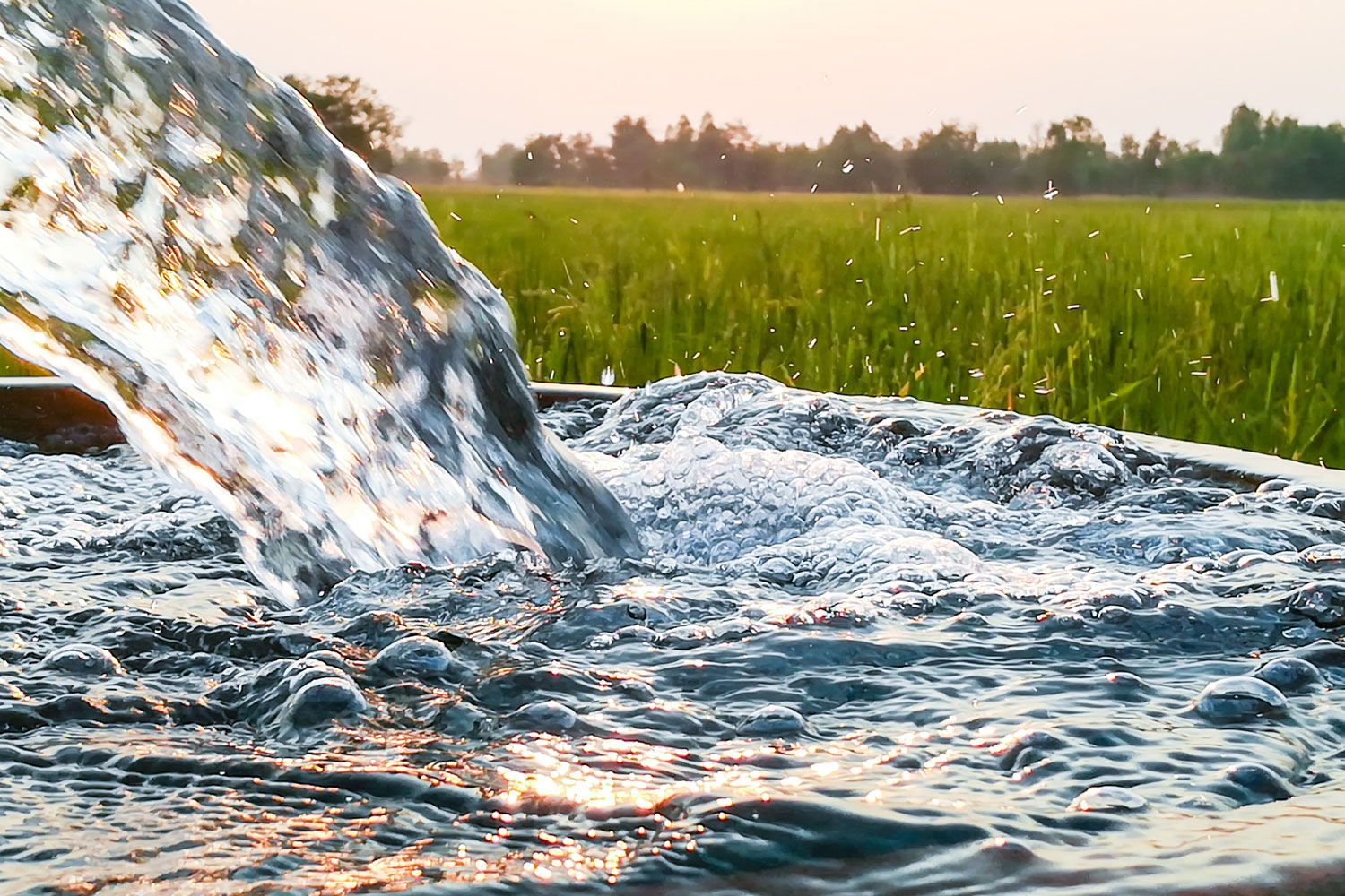 Groundwater Pumping Can Increase Arsenic Levels in Irrigation and Drinking Water