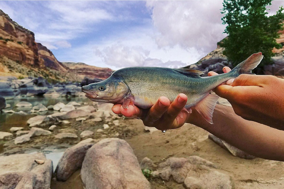 This Week in Water for June 22, 2025