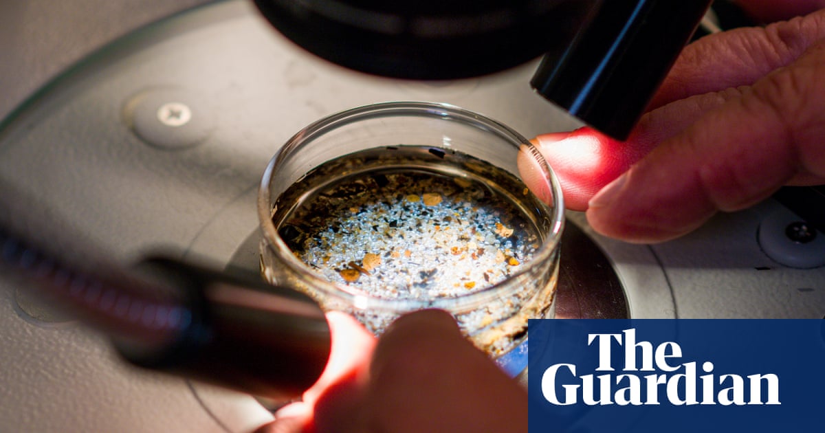 PFAS and microplastics become more toxic when combined, research showsFew human-made substances are as individually ubiquitous and dangerous as ...