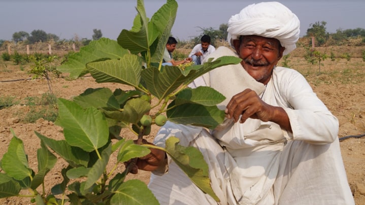 Water Management For Sustainable Agriculture - Need of the HourWater as a resource in agriculture is also reaching a tipping point with the cons...